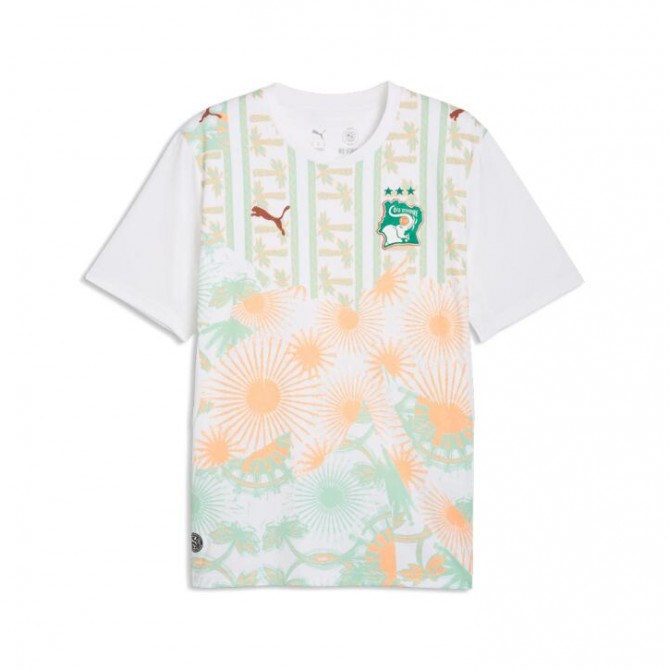 Ivory Coast Away Jersey 2026