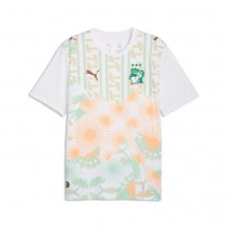 Ivory Coast Away Jersey 2026